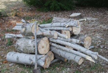 Growing My Own Heat Image